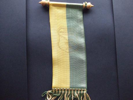Haagse wandelsportvereniging De Vierdaagse ooievaar,vaantje